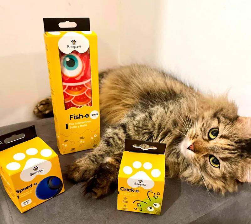 Gato junto a las cajas amarillas de los juguetes Fish-e, Crick-e y Speed-e de Beepaw